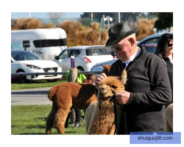塞尔温联一比一克赖斯特彻奇联比赛复盘双方激战九十分钟握手言和